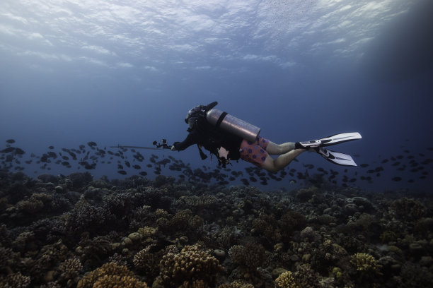 水肺潜水员拿着运动相机在珊瑚礁上游泳图片下载