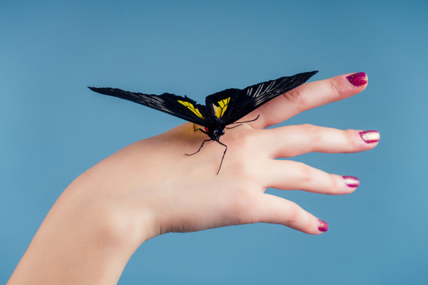 美丽的女人在蓝色背景。女孩和一只美丽的蝴蝶图片下载