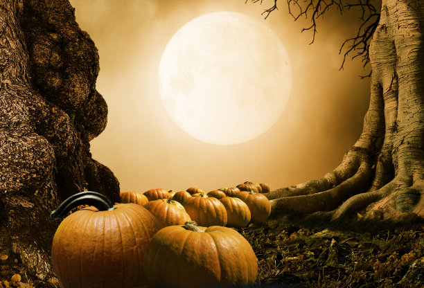 幽灵树下的南瓜地图片下载