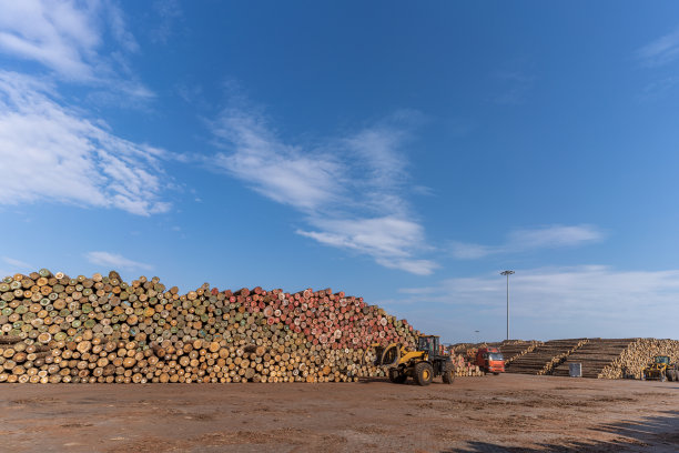 在港口运送木材的叉车图片下载