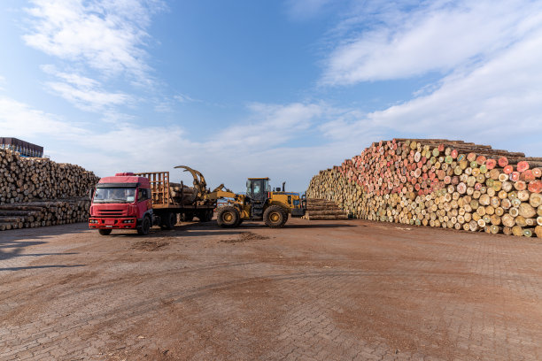 在工厂木材堆垛区工作的卡车和叉车图片下载