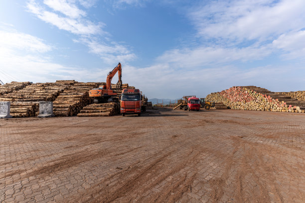 港口运输木材用卡车和叉车图片下载