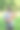英俊时尚的欧洲男子正在公园散步，手里牵着他的狗。人与宠物之间的友谊。图片下载