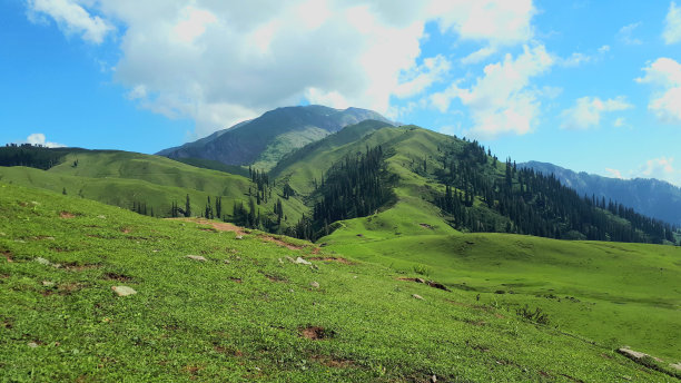 绿色的地球图片下载