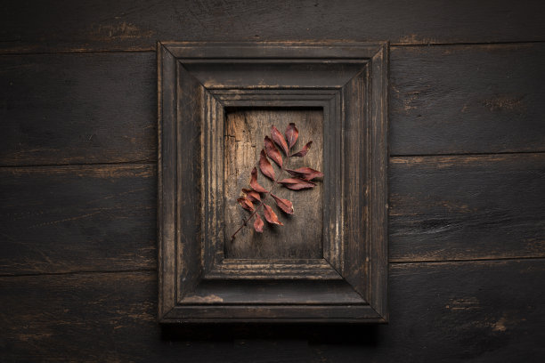一片秋叶在墙上的画框里枯萎了。复古艺术在乡村干草复古黑暗图片下载