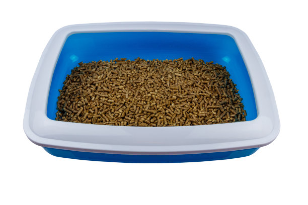 猫砂盒与填料隔离在白色背景图片下载