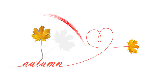 秋天的时间树叶黄色干燥像时钟指针文本和圆形曲线线隔离的季节背景- 3d渲染图片下载