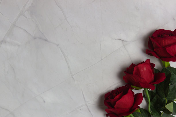 红色玫瑰在轻大理石背景与复制空间。图片下载