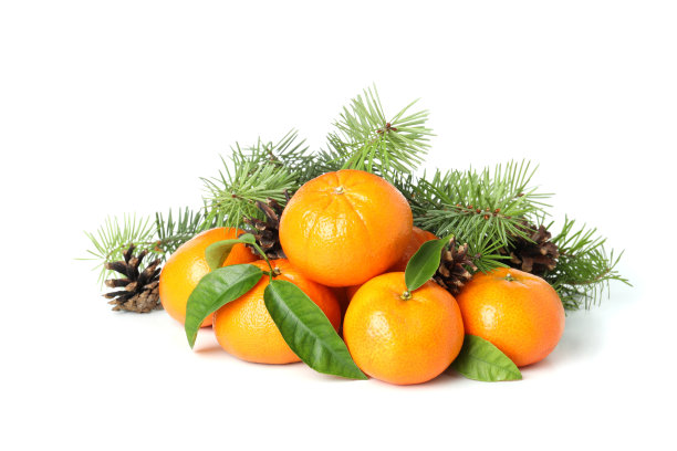 在白色背景上孤立的桔子，云杉树枝和球果图片下载