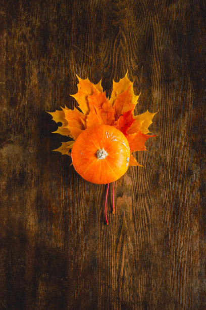木制背景上的南瓜和枫叶。感恩节和其他秋季节日的极简插画图片下载