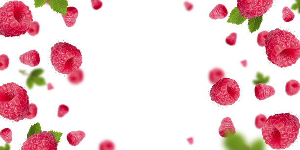 红色覆盆子，绿叶孤立在白色背景上。悬浮覆盆子图片下载