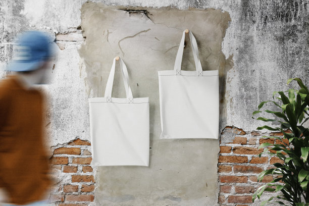 清洁最小的袋子帆布挂在石头墙上的人模型图片下载