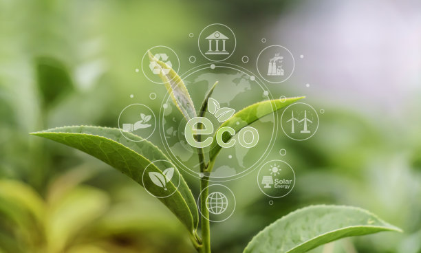 拯救世界和商业生态理念。自然恢复，种植园和可持续能源图片下载