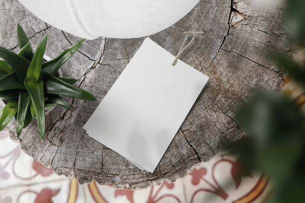 用植物在木材上清洁最小的标签模型图片下载