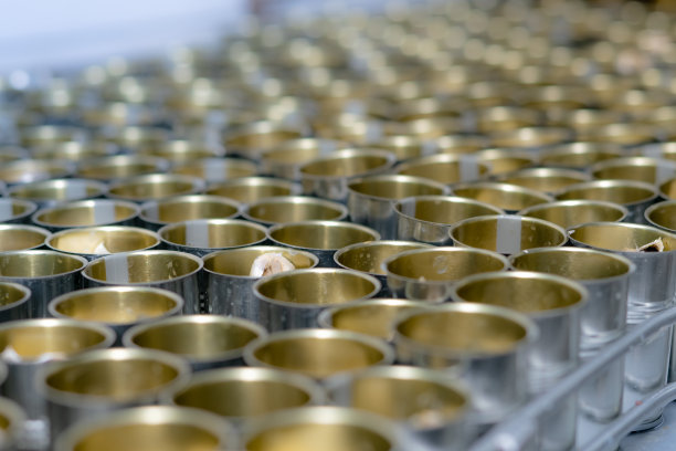 鱼罐头工厂。食品行业。传送带上有很多沙丁鱼罐头。食品厂罐装红番茄酱沙丁鱼。食品加工生产线。食品制造业。图片下载