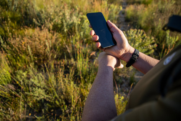 成熟男人的手在草地上使用智能手机图片下载