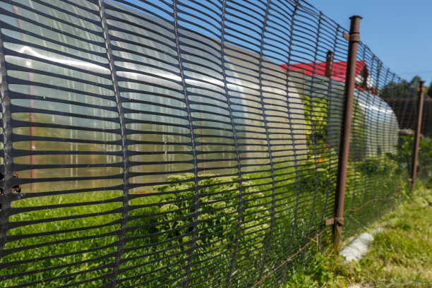 花园里的网状栅栏。用黑色塑料制成的栅栏。图片下载