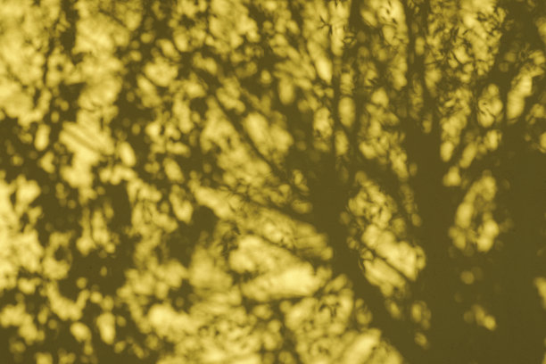 墙壁上的阴影图片下载