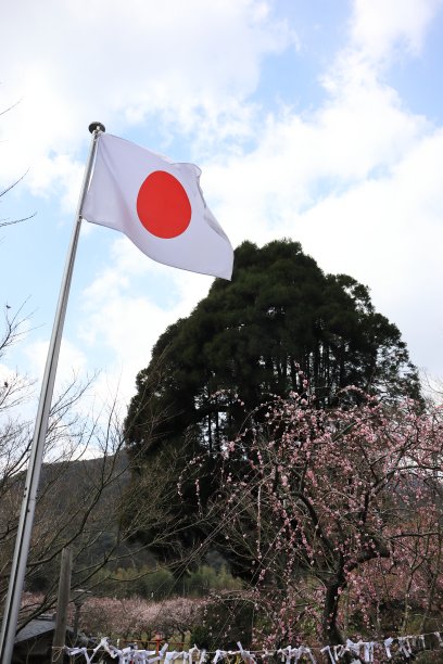 酸梅和日本国旗图片下载