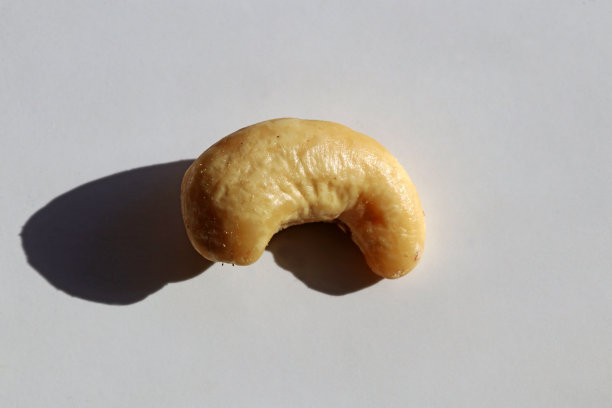 白色背景的腰果干果图片下载