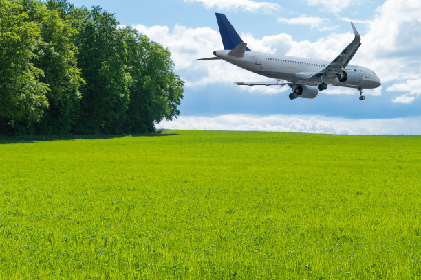 飞机飞过绿色景观图片下载