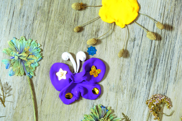 秋季工艺品用天然的干花、草、叶。用橡皮泥创造蝴蝶、太阳、心。图片下载