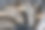 电脑显卡冷却风扇叶片上布满灰尘。图片下载