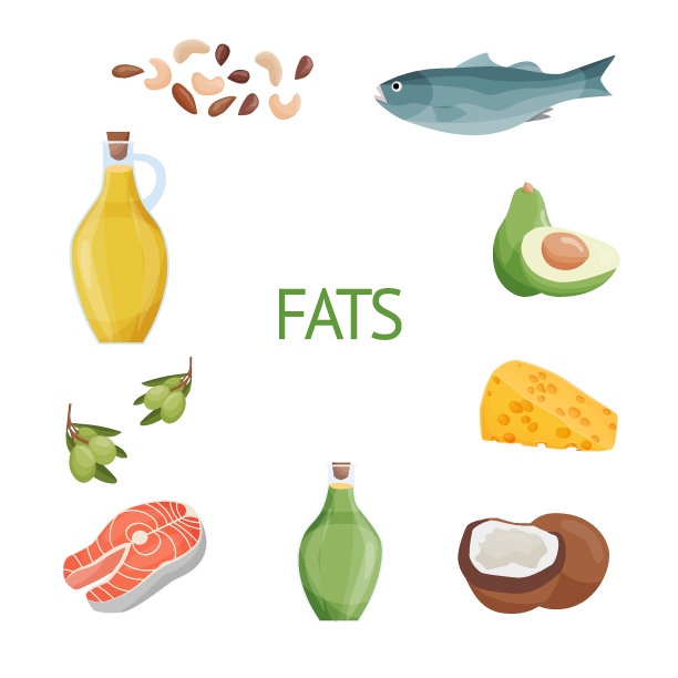 一套健康食品宏量营养素。由食品产生的脂肪。橄榄油，葵花籽油，奶酪，坚果，椰子，橄榄。营养类别矢量图。均衡的营养。图片下载