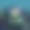 敏感的照片内容。显式的视频内容。不恰当的内容。网络安全的概念。只审查18岁以上的成年人。模糊的背景。矢量插图。注意的信号。隐藏视图图标。图片下载