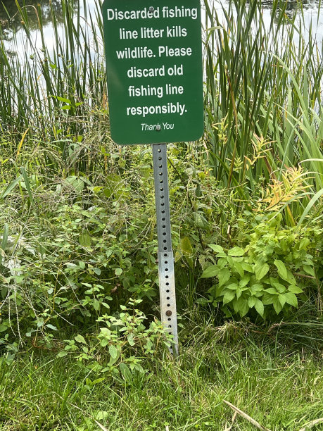 钓鱼的迹象图片下载