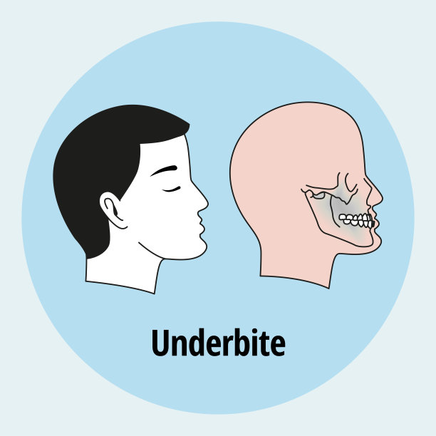 08年_perfil图片下载