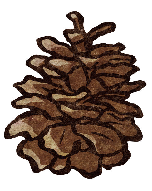 松果的剪接艺术，质地粗糙图片下载