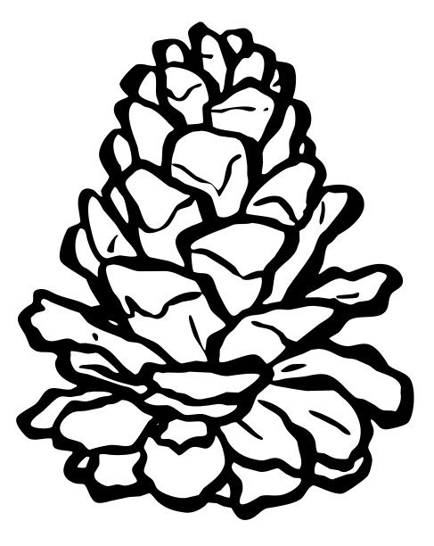 用毛笔画的松果剪辑艺术图片下载