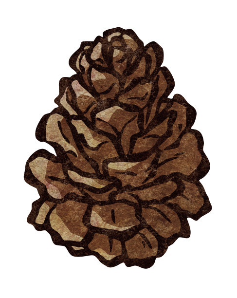 松果的剪接艺术，质地粗糙图片下载