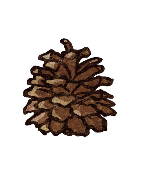 松果的剪接艺术，质地粗糙图片下载