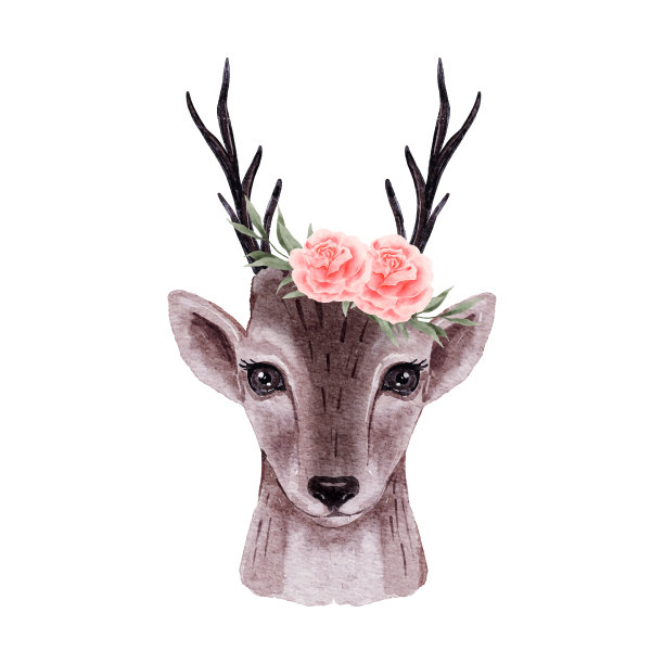 驯鹿水彩画孤立在白色背景。圣诞可爱的小鹿肖像插画。冬季动物设计卡通矢量图片下载