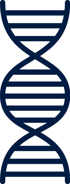 DNA分子遗传图片下载