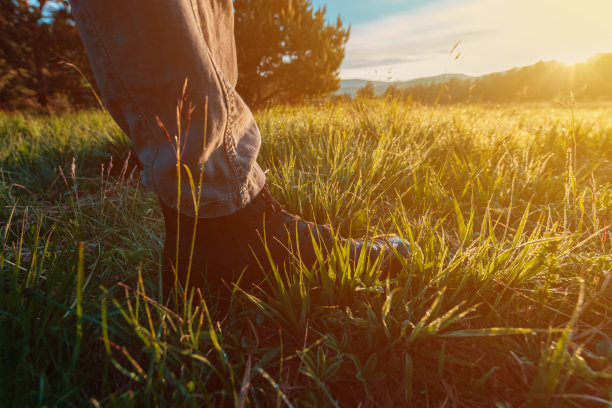 在草原上徒步，近距离拍摄穿着皮靴的男性的脚穿过草地图片下载
