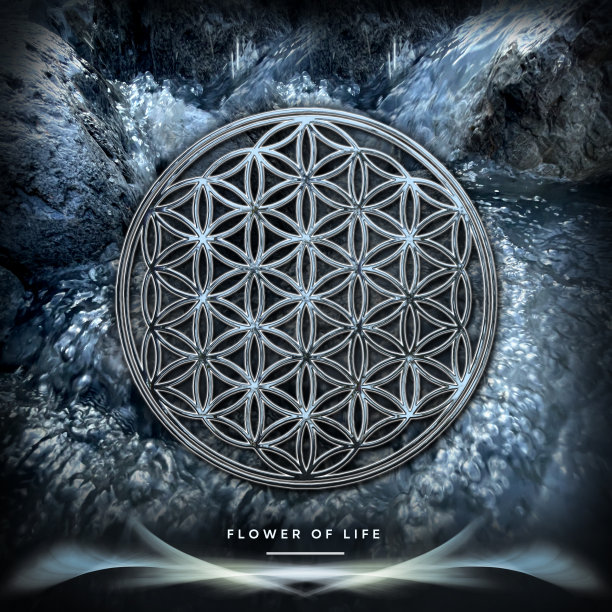 美丽的水背景上的生命之花(奥地利阿尔卑斯小溪)图片下载