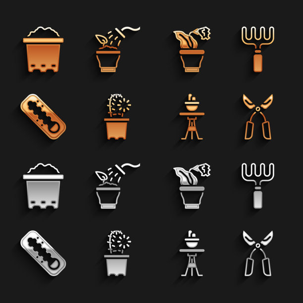 在盆栽花园中放置仙人掌图片下载