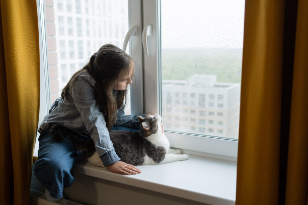 雨天，一个抱着猫的女孩望着窗外图片下载