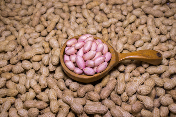 用大木勺盛花生仁。图片下载