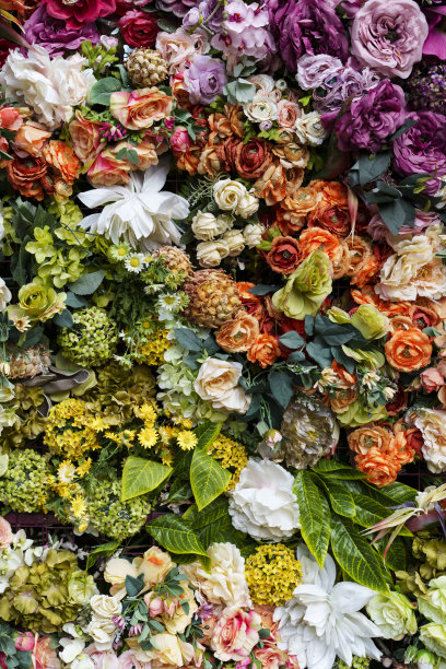 花墙背景惊人的红色，橙色，粉色，紫色，绿色和白色的花图片下载