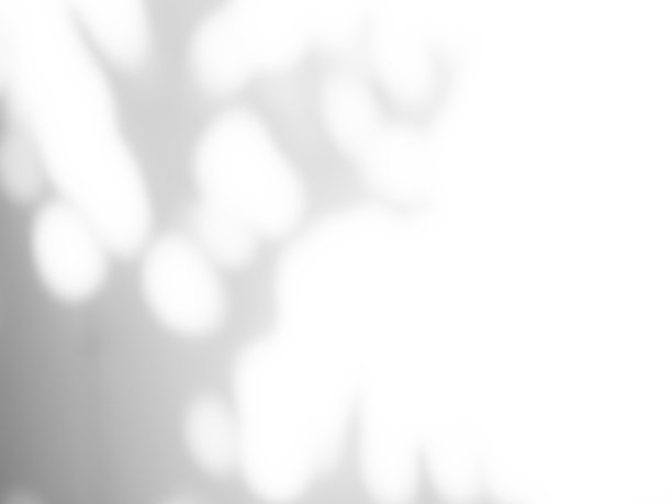 模糊叠加阴影叶子背景图片下载