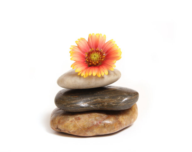 平衡的石头与花在顶部孤立的白色背景图片下载