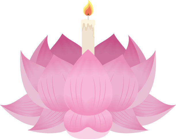 粉红莲花合欢图片下载