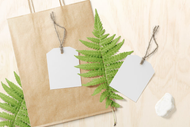 清洁最小的标签模型与息肉背景纸袋图片下载