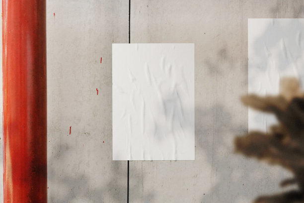 用植物清理墙上最小的海报模型图片下载