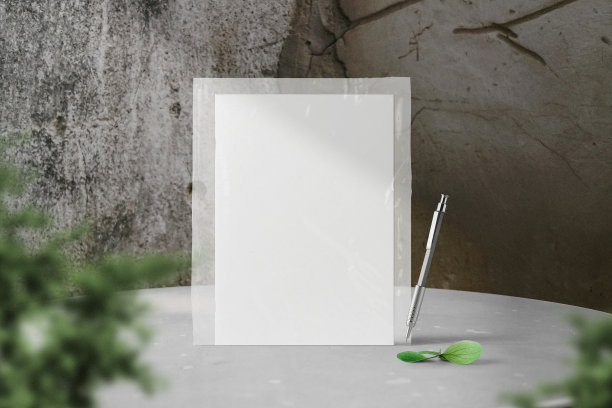 清洁最小包装模型的白色桌面与植物图片下载