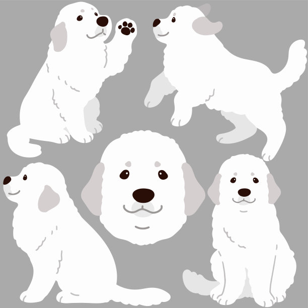 简单和可爱的大比利牛斯犬插画平坦的颜色图片下载